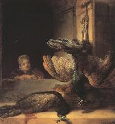 REMBRANDT Harmenszoon van Rijn Still life with two dead Peacocks and a Girl (mk33) oil painting